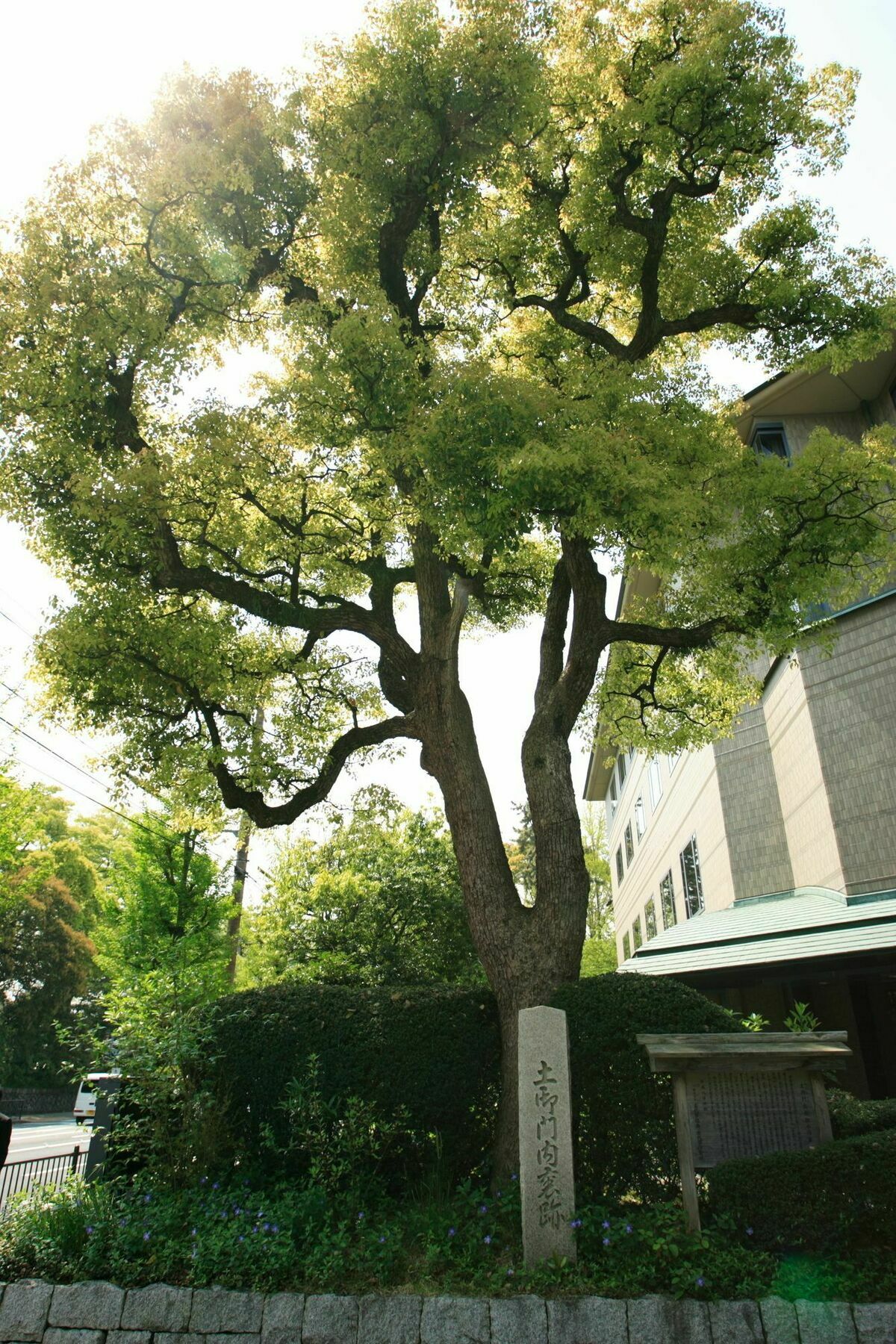 Kyoto Garden Palace Exterior photo